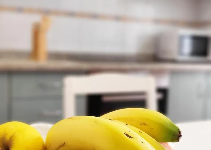 La Bella Сasa de vacaciones